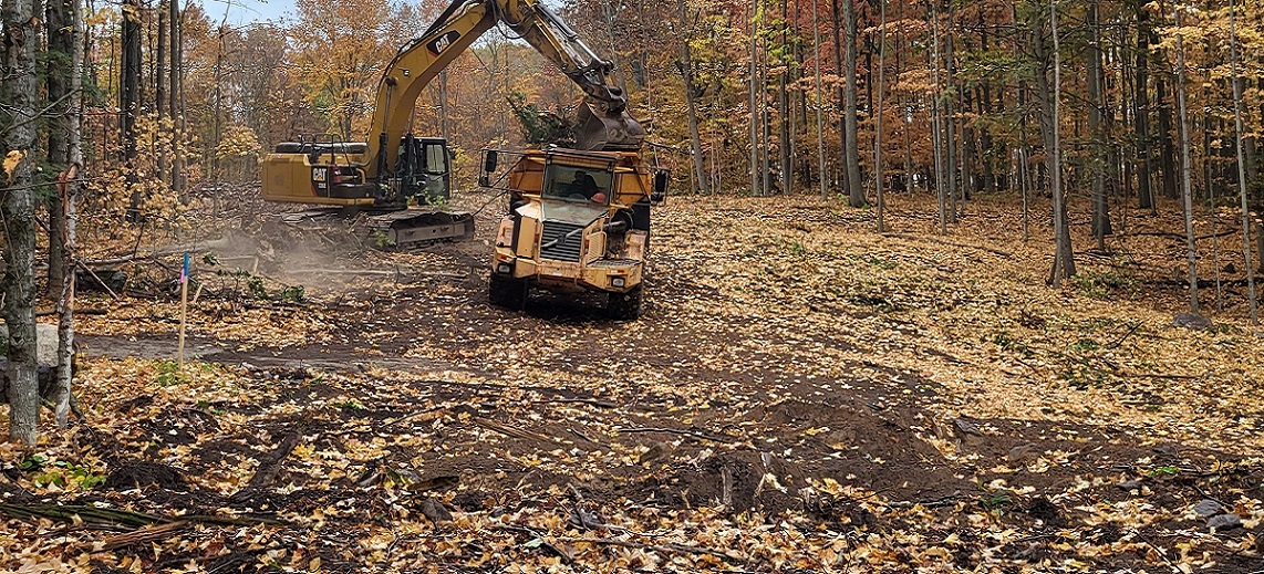 Tree Clearing & Impacted Soil Disposal project image